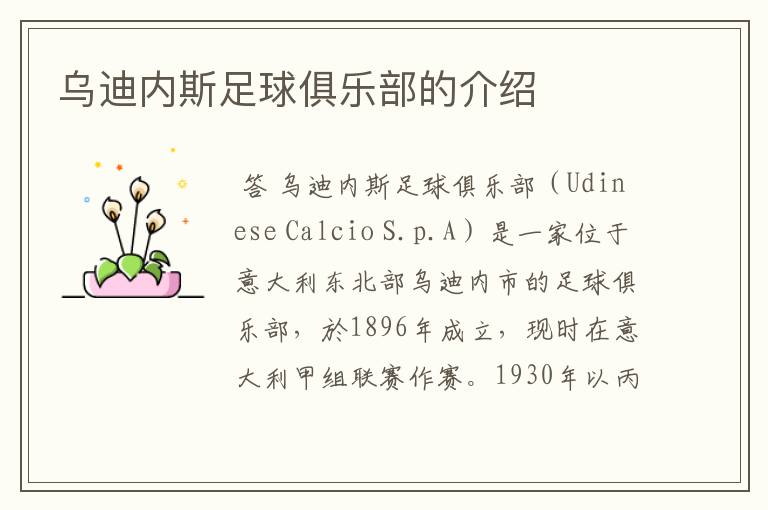 乌迪内斯足球俱乐部的介绍