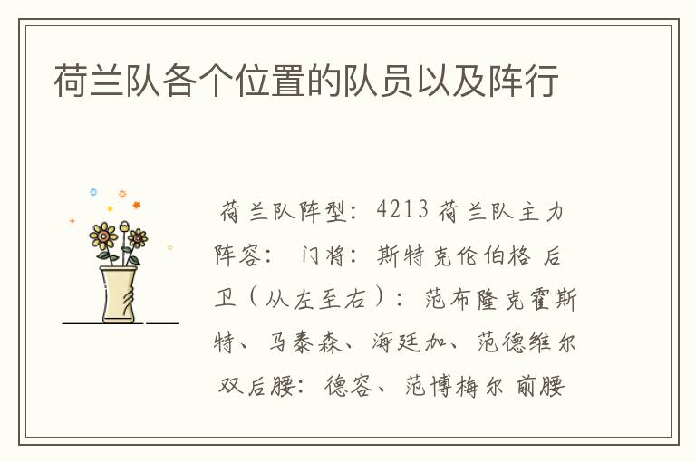 荷兰队各个位置的队员以及阵行