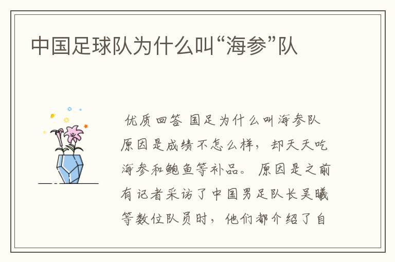 中国足球队为什么叫“海参”队