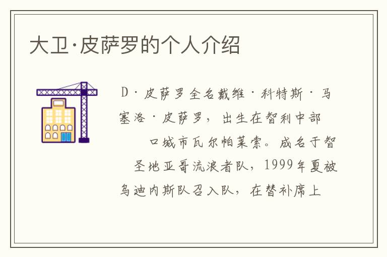 大卫·皮萨罗的个人介绍