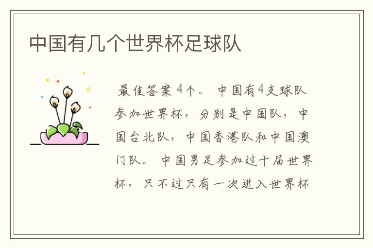 中国有几个世界杯足球队