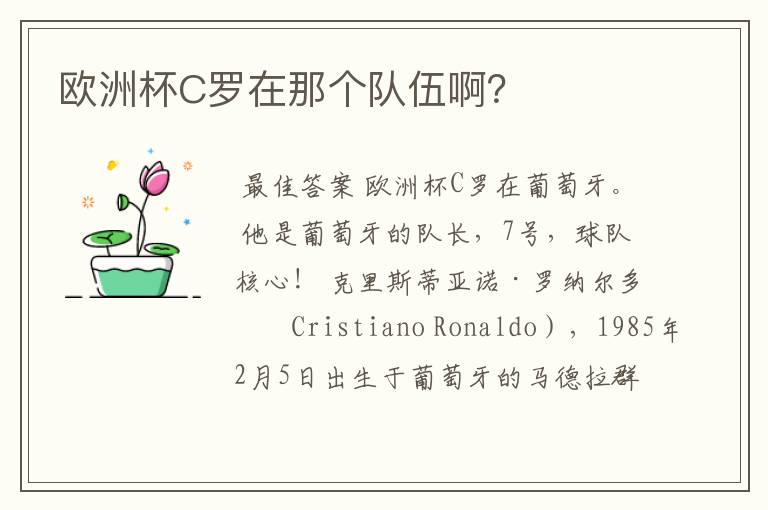 欧洲杯C罗在那个队伍啊?