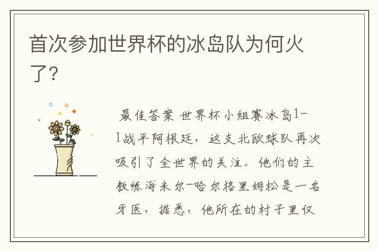首次参加世界杯的冰岛队为何火了?