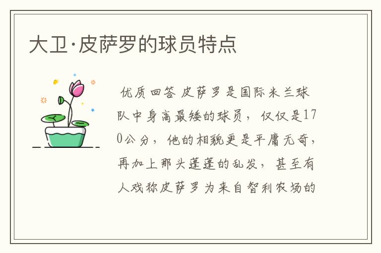 大卫·皮萨罗的球员特点