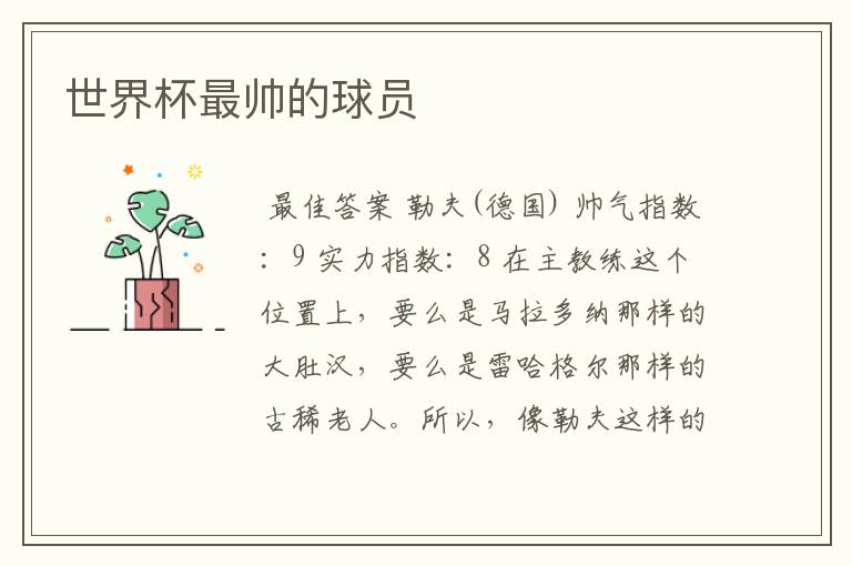 世界杯最帅的球员