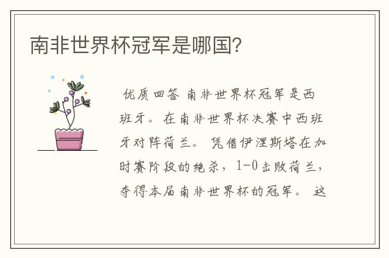 南非世界杯冠军是哪国?