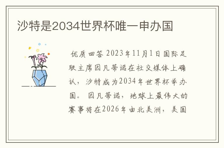 沙特是2034世界杯唯一申办国