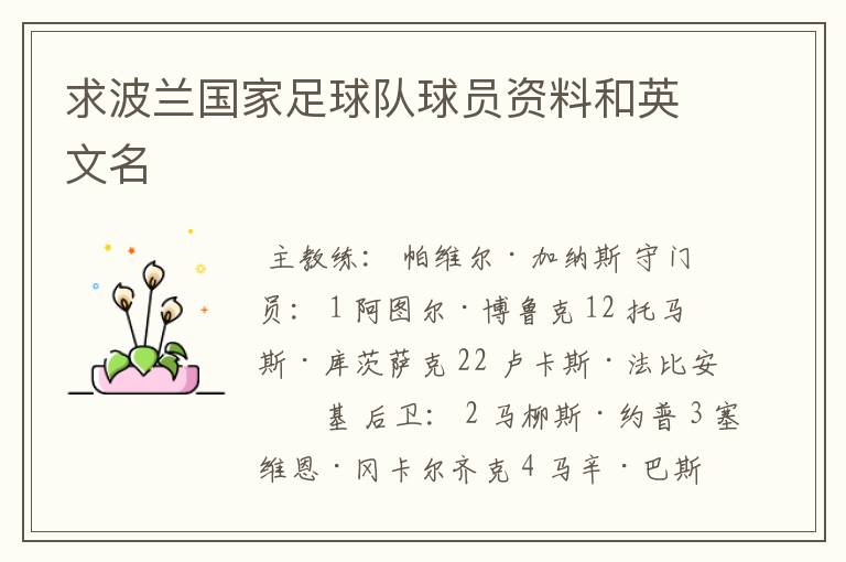 求波兰国家足球队球员资料和英文名