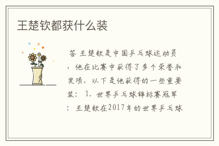 王楚钦都获什么装