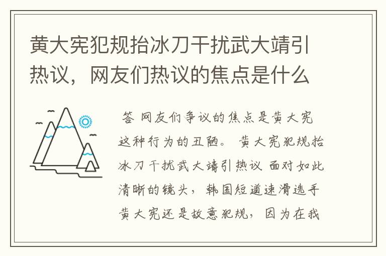 黄大宪犯规抬冰刀干扰武大靖引热议,网友们热议的焦点是什么?