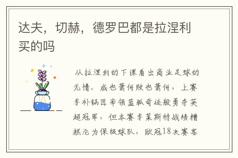 达夫,切赫,德罗巴都是拉涅利买的吗