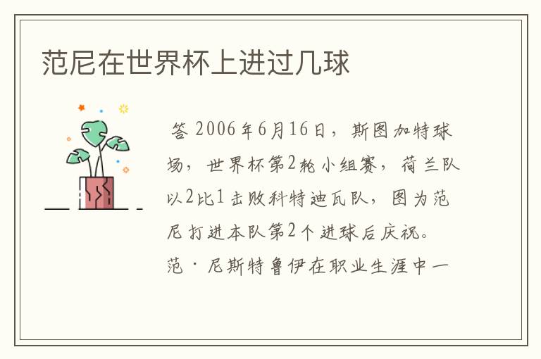 范尼在世界杯上进过几球