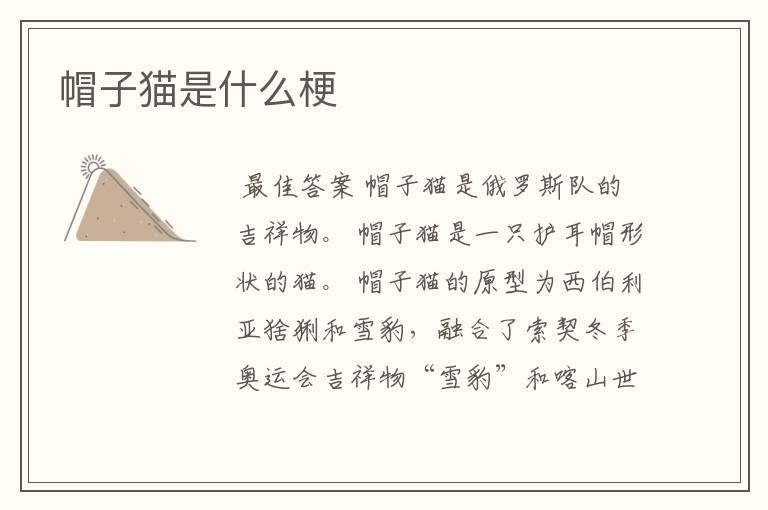 帽子猫是什么梗