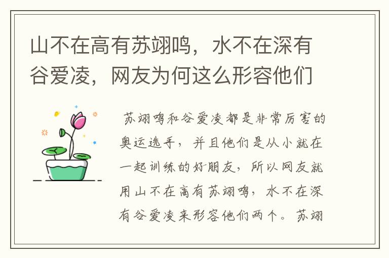 山不在高有苏翊鸣,水不在深有谷爱凌,网友为何这么形容他们俩?
