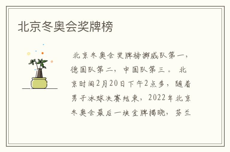 北京冬奥会奖牌榜