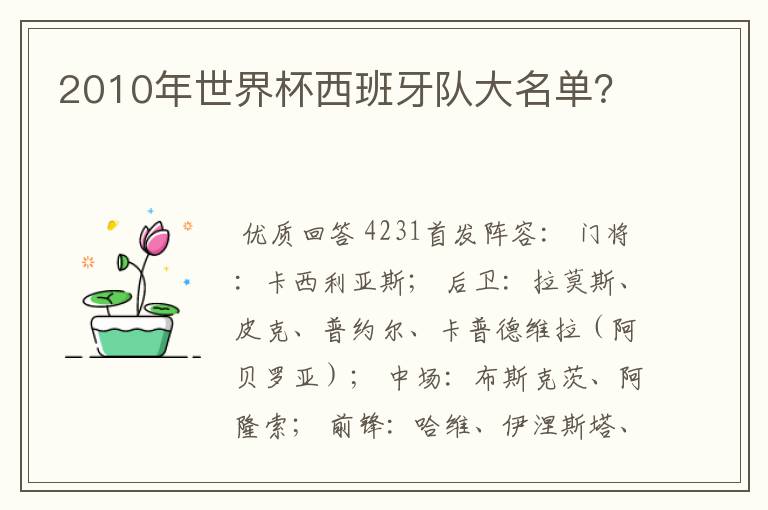 2010年世界杯西班牙队大名单?