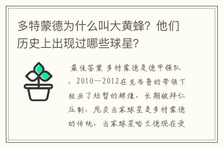 多特蒙德为什么叫大黄蜂?他们历史上出现过哪些球星?