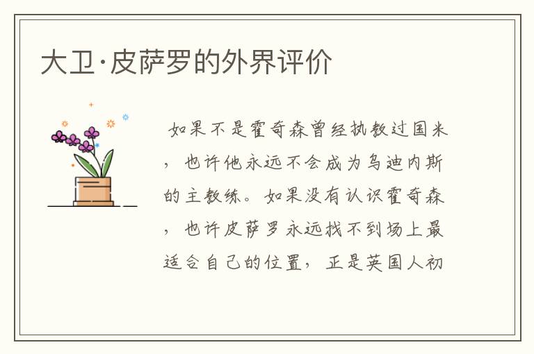大卫·皮萨罗的外界评价