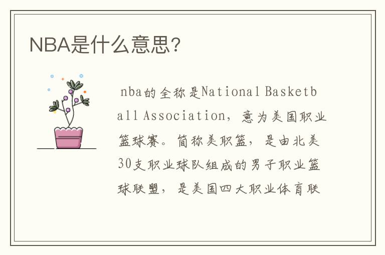 NBA是什么意思?