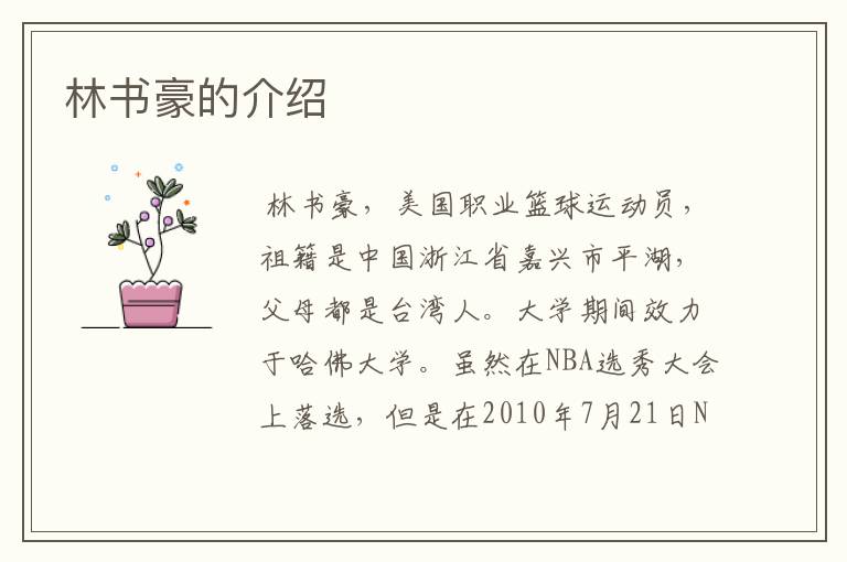林书豪的介绍