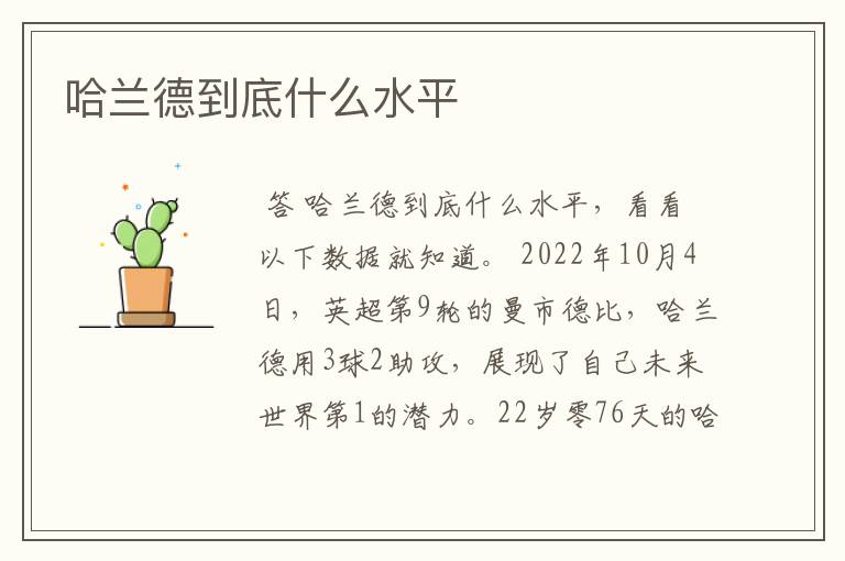 哈兰德到底什么水平