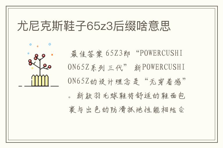 尤尼克斯鞋子65z3后缀啥意思