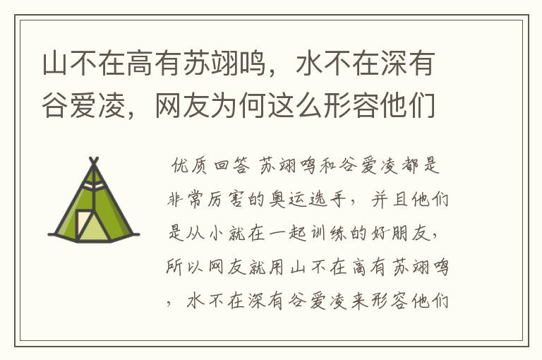 山不在高有苏翊鸣,水不在深有谷爱凌,网友为何这么形容他们俩?