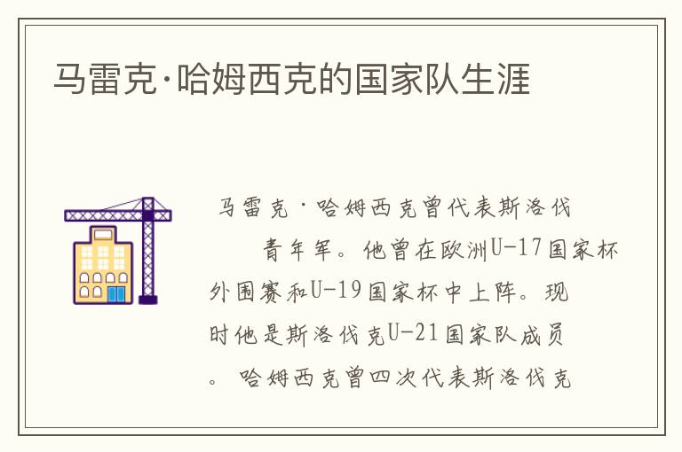 马雷克·哈姆西克的国家队生涯