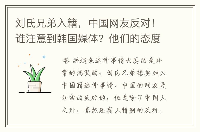 刘氏兄弟入籍,中国网友反对!谁注意到韩国媒体?他们的态度如何?