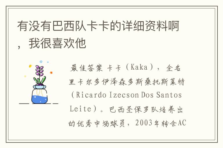 有没有巴西队卡卡的详细资料啊,我很喜欢他