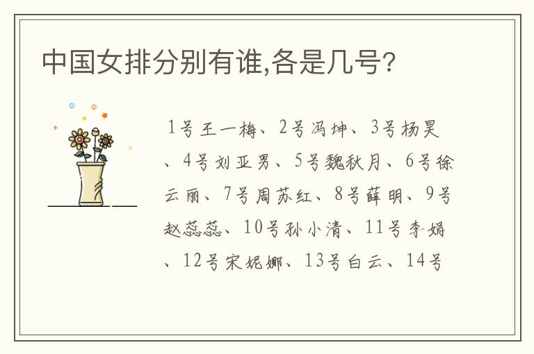 中国女排分别有谁,各是几号?