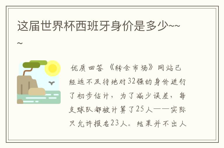 这届世界杯西班牙身价是多少~~~