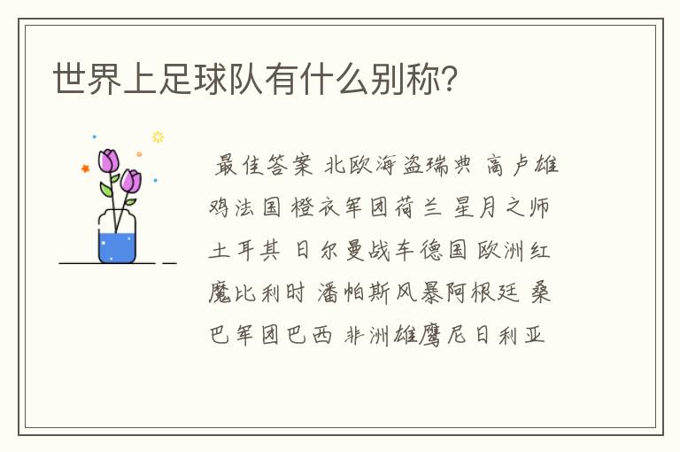 世界上足球队有什么别称?