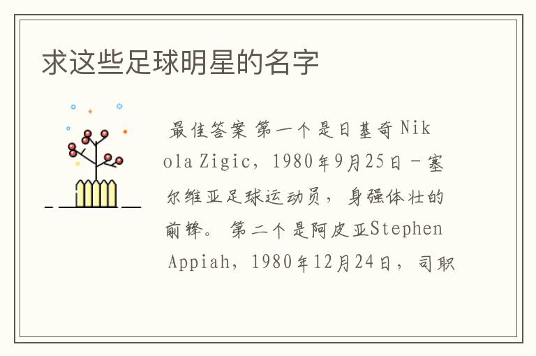 西班牙足球明星瓦尔多斯简介