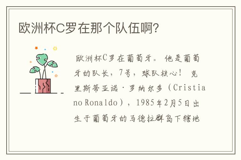 欧洲杯C罗在那个队伍啊?