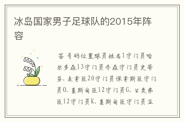 冰岛国家男子足球队的2015年阵容