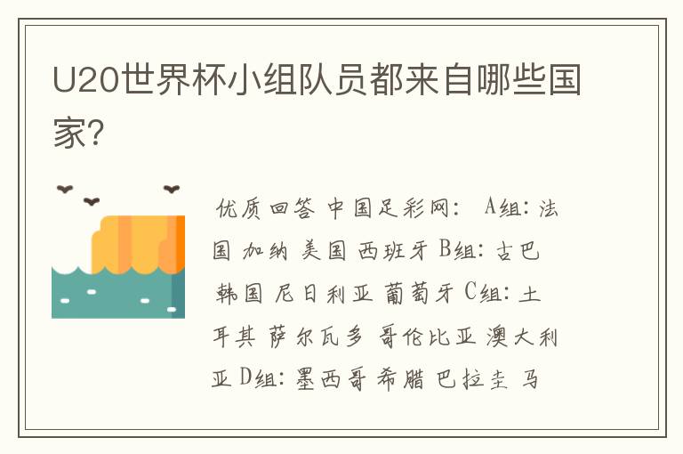 U20世界杯小组队员都来自哪些国家？