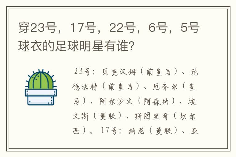 穿23号,17号,22号,6号,5号球衣的足球明星有谁?