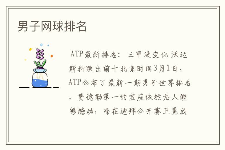 男子网球排名