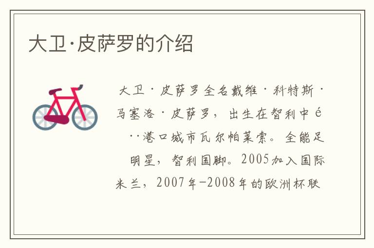 大卫·皮萨罗的介绍