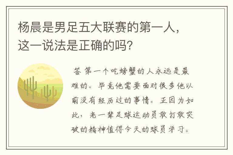杨晨是男足五大联赛的第一人,这一说法是正确的吗?