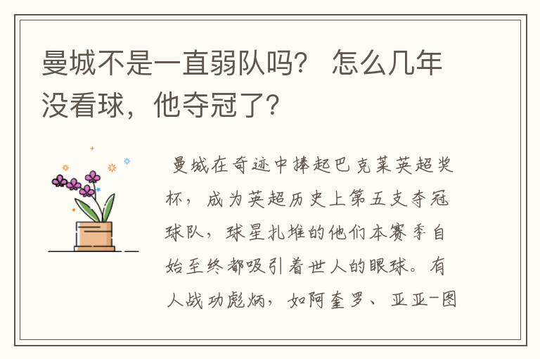 曼城不是一直弱队吗? 怎么几年没看球,他夺冠了?