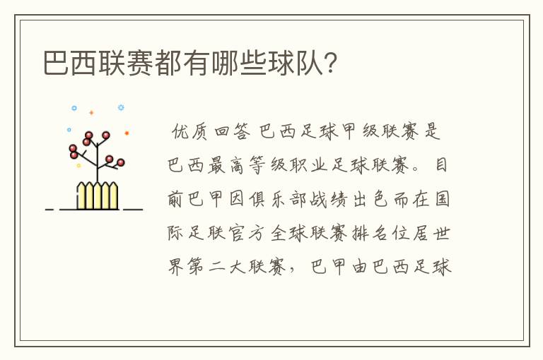巴西联赛都有哪些球队?