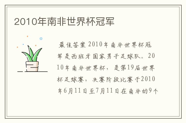 2010年南非世界杯冠军