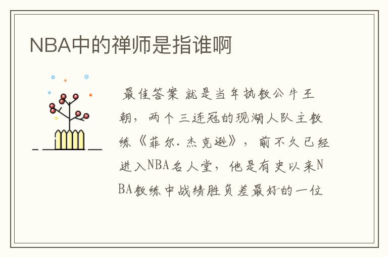 NBA中的禅师是指谁啊
