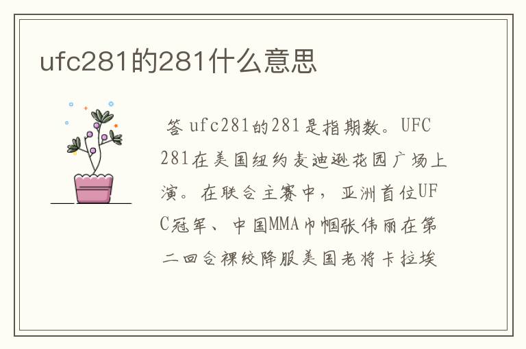 ufc281的281什么意思