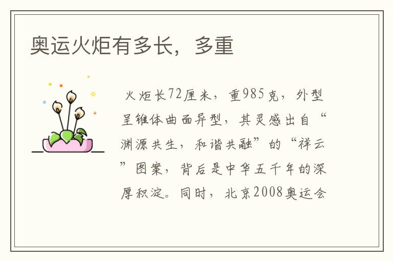 奥运火炬有多长,多重