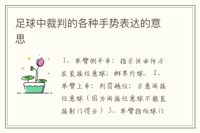 足球中裁判的各种手势表达的意思
