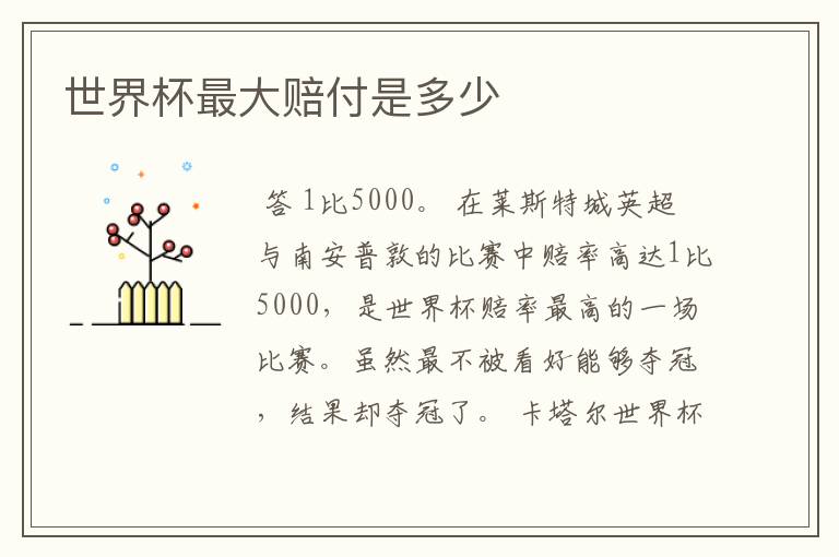 世界杯最大赔付是多少