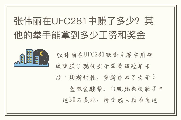 张伟丽在UFC281中赚了多少?其他的拳手能拿到多少工资和奖金?